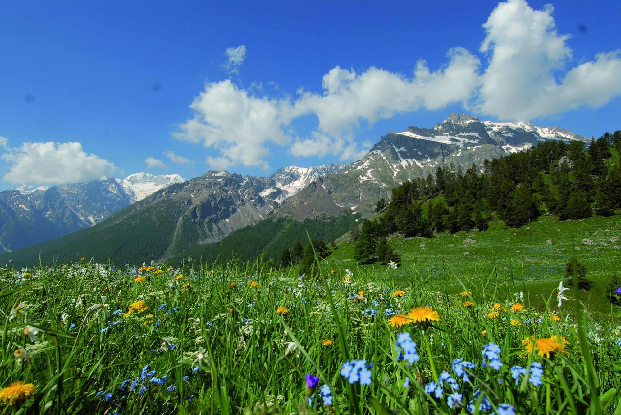 Club Vacances Bleues Les Alpes D'Azur La Salle-les-Alpes Buitenkant foto